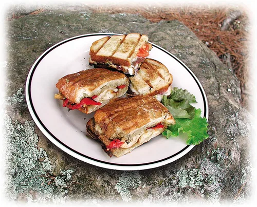 Vista 3 de ROME Panini Press - Sándwich de hierro fundido diseñado para su uso en parrillas de barbacoa, #1305