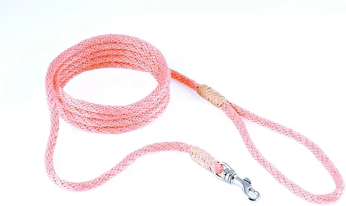 Vista 245 de Alvalley Correa para perros estilo broche – Correa de nailon estilo broche para perros – Fácil de manejar – Perfecto para perros pequeños, medianos