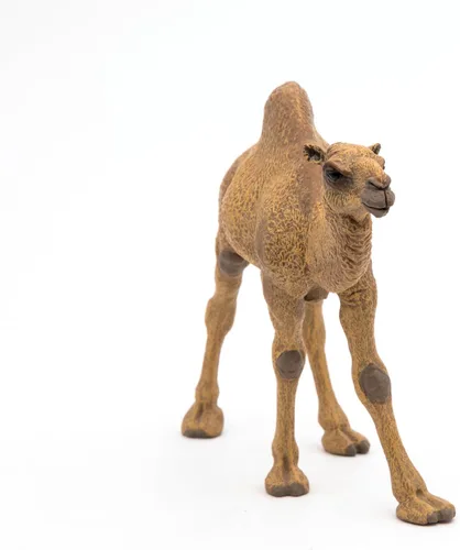 Vista 4 de Papo - Figura de dromedario realista - A partir de 3 años - Colección Wild Life - Juego educativo de animales del desierto - Juguete de idea