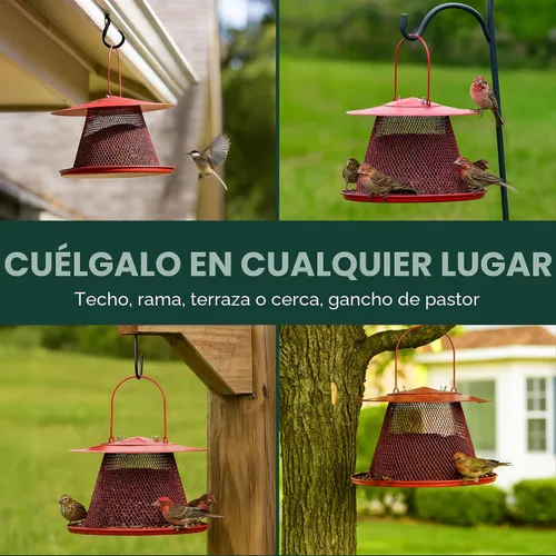 Vista 7 de No/No Red Cardinal c00322 alimentador de aves, Paquete de 1, Rojo