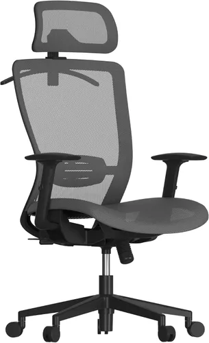 Vista 14 de FLEXISPOT - Silla de oficina ergonómica, sillas de escritorio de malla con respaldo alto y soporte lumbar ajustable, reposacabezas 2D, reclinable