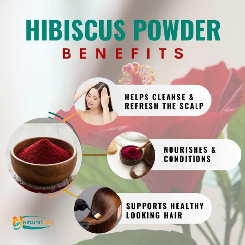 Vista 4 de NaturalEvity Flores de hibisco secas enteras (4 onzas) + polvo de hibisco fino (8 onzas), pétalos de alta calidad sin OMG secados al sol para té