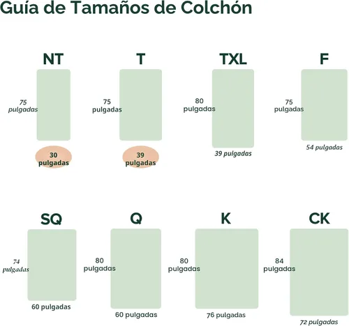 Vista 11 de Zinus Colchón de espuma viscoelástica esencial de té verde individual de 8