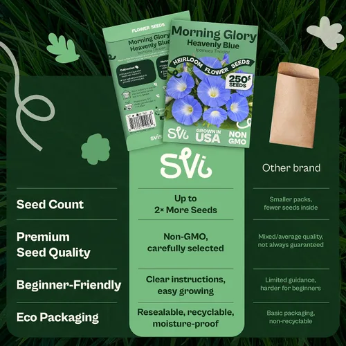 Vista 6 de SVI 250 Heavenly Blue Morning Glory Heirloom Flower Seeds, Ipomoea Tricolor