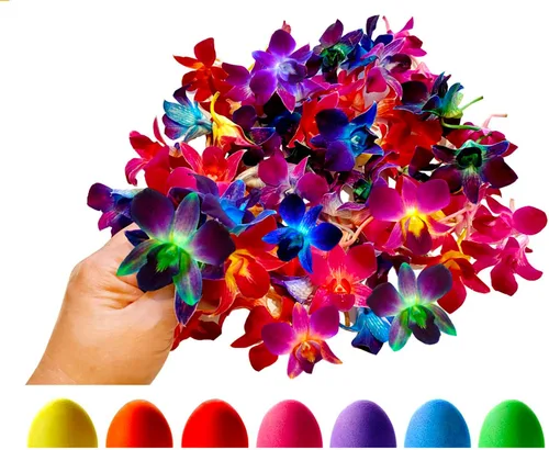 Vista 9 de Flores frescas cortadas de Miami OrchidClub USA por Sunne Tropical DIY Lei, decoración de alimentos y bebidas (50 blanco)