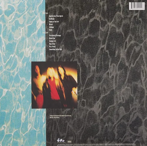 Vista 2 de Nevermind