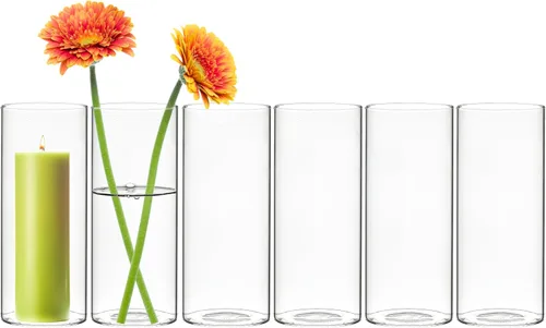 Vista 9 de CYS EXCEL Juego de 6 jarrones de cristal pequeños, pequeños jarrones de flores transparentes para centros de mesa de boda, decoración de mesa