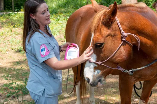 Vista 4 de SunTech Vet30E Monitor de signos vitales continuos veterinarios para animales equinos y de compañía (azul pavo real)
