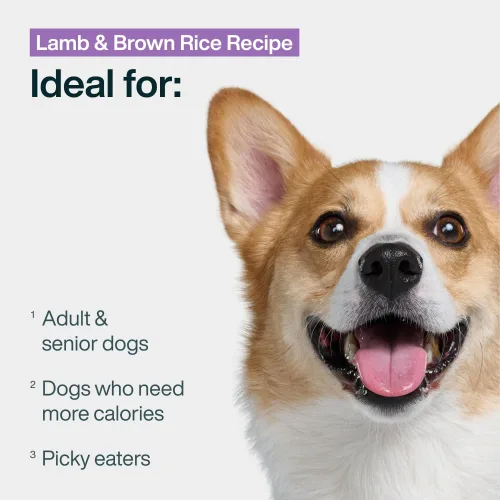 Vista 3 de JustFoodForDogs Pantry Fresh - Alimento húmedo para perros, comida completa o comida para perros, receta de comida para perros de cordero y arroz