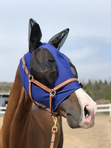 Vista 4 de Máscara de mosca de caballo, súper cómoda, máscara de mosca de caballo, máscara elástica con orejas, solo hacemos productos que les gustan a