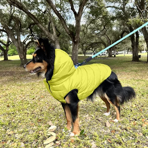 Vista 8 de Pawtitas Chaqueta reversible resistente al viento para perro, resistente al agua, abrigo de perro azul y amarillo para clima frío, tamaño de raza