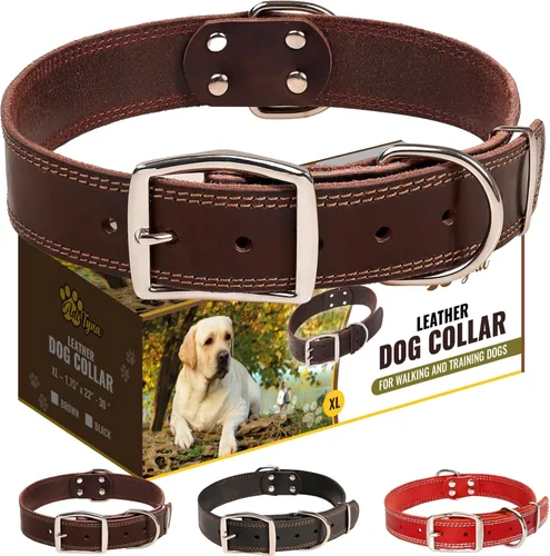 Vista 17 de Collar de perro de cuero negro resistente, collar de perro suave y fuerte para cachorros o razas pequeñas