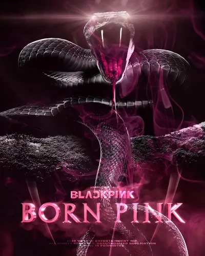 Vista 8 de BLACKPINK BORN PINK - 2º álbum de caja de álbum versión CD+Photobook+papel de letras de acordeón+tarjeta fotográfica grande+postal+película