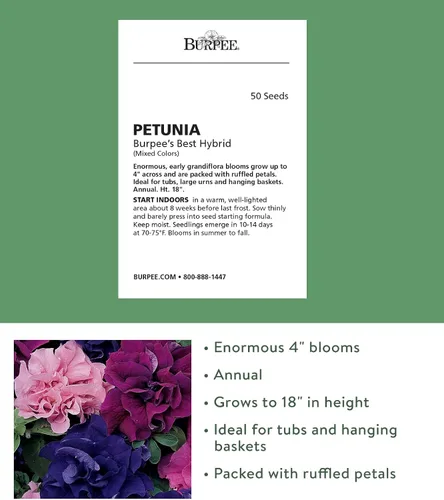 Vista 2 de Burpee Best Hybrid Mix Petunia Seeds 50 semillas