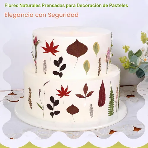 Vista 7 de Large Bulk Fall Dried Pressed Leaves for Craft, Real Dry Natural Flower Leaf Daisy for Resin Mold, Cake Decor, Phone Cases (Autumn Leaves)