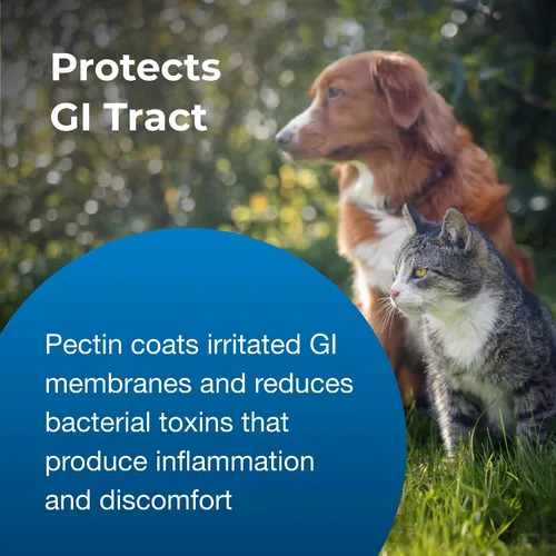 Vista 6 de PetAg Pet Pectillin Antidiarreico – 4 onzas, paquete de 3 – Ayuda a aliviar la diarrea o heces sueltas en perros y gatos – Reemplaza