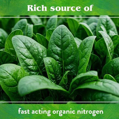 Vista 6 de Down To Earth All Natural Fertilizers Harina de sangre orgánica - Alimento vegetal con alto contenido de nitrógeno para crecimiento verde 12-0-0, 20
