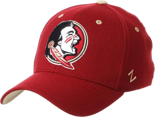 Vista 69 de ZHATS - Sombrero ajustado elástico para hombre de la NCAA, color del