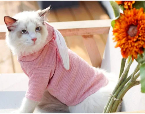 Vista 4 de ANIAC Sudadera con capucha para perro, con orejas de conejo, ropa de primavera para cachorros para perros pequeños, hembras, niños, suéter suave