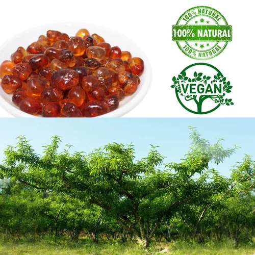Vista 6 de DABC OAK LAND Goma de Durazno Silvestre, Flor de Durazno Comestible 100% Natural, Lágrimas Tao Jiao Resina de Durazno, 滋補抗皺 桃膠 Estimulante
