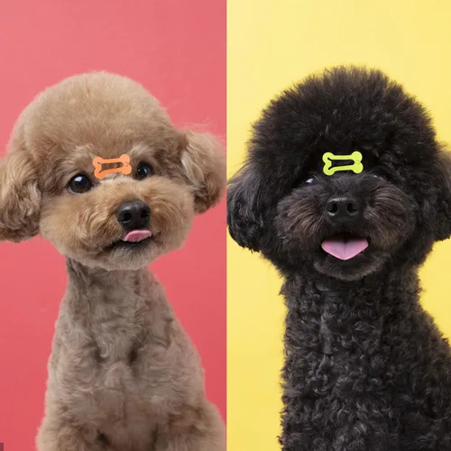 Vista 4 de BOYIVI 48 pinzas para el pelo para perros de 1 pulgada con forma de hueso, pasadores para el pelo de mascotas, accesorios para el cabello multicolor