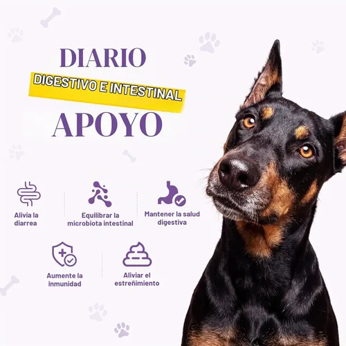 Vista 2 de Probióticos para perros, probióticos masticables y picor intestinal digestivo, probióticos para la piel, alivio de la picazón, diarrea, 50 tabletas