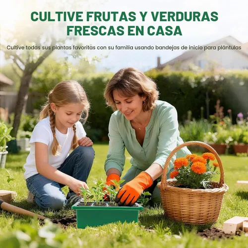Vista 7 de 5 paquetes de bandejas para semillas con cúpula de humedad, kit de inicio de semillas con base transparente con orificios de drenaje