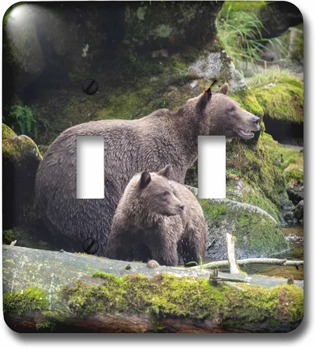 Vista 3 de 3dRose Brown bear cub staying close to mom at Anan Creek. 2 plug outlet cover