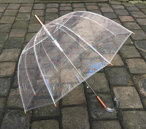 Vista 3 de SMATI París - Paraguas transparente de jaula para pájaros con diseño de constelación - Transparente Resistente al viento Apertura automática Mango