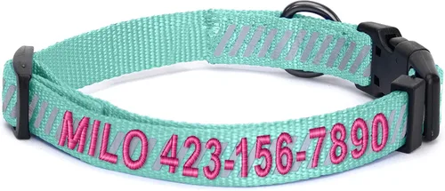 Vista 16 de Collar de entrenamiento reflectante para perros, de la marca Pawtitas, Negro