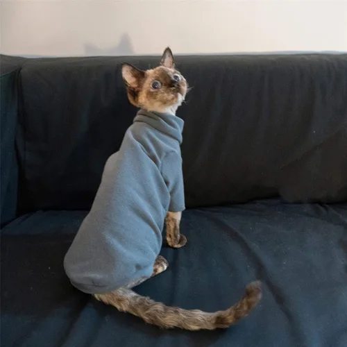 Vista 3 de Ropa de gatos sin pelo, camiseta de algodón, chaleco transpirable para primavera y otoño, ropa de gato con cuello alto para Sphynx, Cornish Rex, Gris