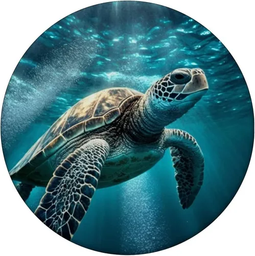 Vista 3 de Sea Turtle Beach Turtles Design PC PopSockets PopGrip intercambiable