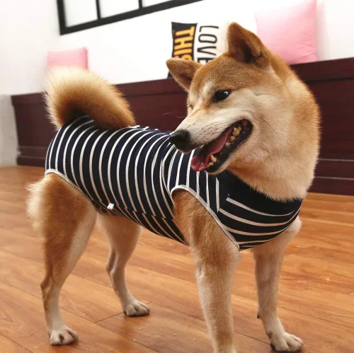 Vista 5 de Traje de recuperación para perros y cachorros, para heridas abdominales, ropa quirúrgica, chaleco posoperatorio para usar después de una cirugía