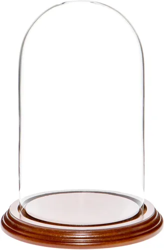 Vista 6 de Plymor Cúpula de cristal de 4.5" x 8" (base de chapa de roble)