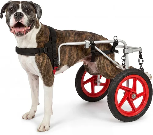 Vista 4 de Silla de ruedas para perro Best Friend Mobility tamaño extra pequeño