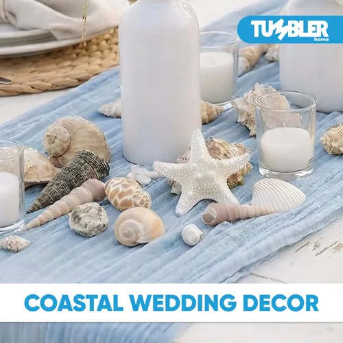 Vista 4 de Conjuntos de conchas – perfecto para manualidades, decoración del hogar de playa, bodas, relleno de jarrón y aulas. Natural shells for beach