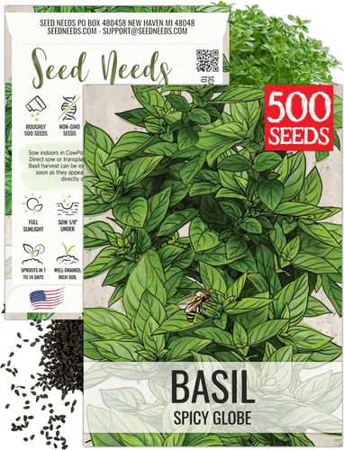 Vista 44 de Seed Needs Semillas de albahaca italiana para plantar hierbas tradicionales sin OMG, 1 paquete