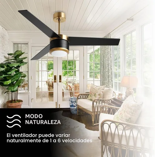 Vista 6 de reiga Ventilador de techo moderno de 52 pulgadas con luz, 3 aspas, motor CC negro y dorado, ventiladores de techo de madera, compatible con control