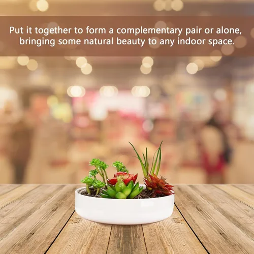 Vista 6 de White Ceramic Plant Pots with Drainage Holes 3pcs for Succulents