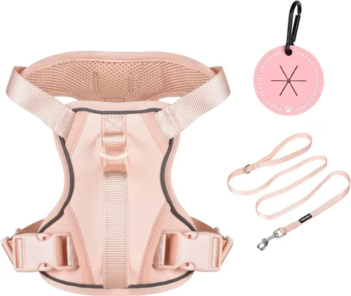 Vista 6 de Petmolico Arnés para perros pequeños, bonito arnés con dos clips para correa y mango suave, chaleco reflectante para cachorros fácil de caminar
