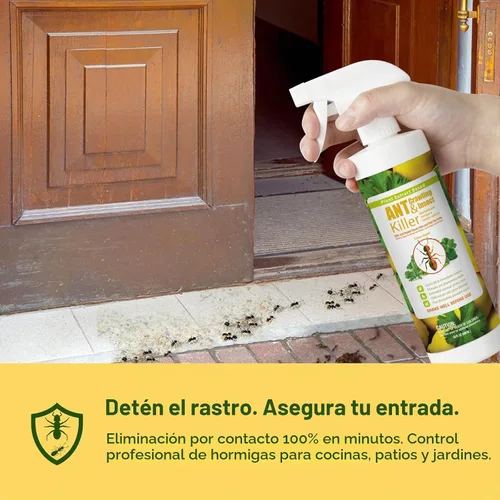 Vista 3 de EcoRaider insecticida y hormiguicida (aroma de cítricos) de 16 oz, natural y no tóxico