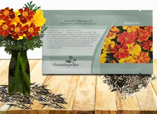 Vista 9 de Outsidepride Tagetes patula Ollas de Caléndula Francesa de Oro Semillas de Flores de Jardín - 100 Semillas