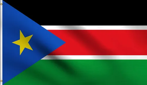 Vista 15 de DMSE - Bandera nacional beninesa beninesa de la República de África Occidental, 2 x 3 pies, 100 % poliéster, 100 % poliéster, resistente a los rayos