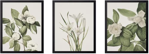 Vista 72 de Poster Master Póster botánico vintage de 3 piezas, estampado floral retro, regalo para artistas, amigos, flores de acuarela, brillante, azul