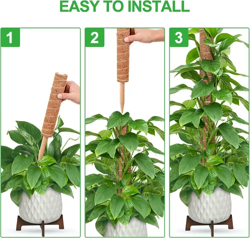 Vista 3 de GROWNEER Poste de musgo de 24 pulgadas para plantas de interior, 2 piezas de soporte de tótem de coco apilable de 15 pulgadas, palos de musgo con 15