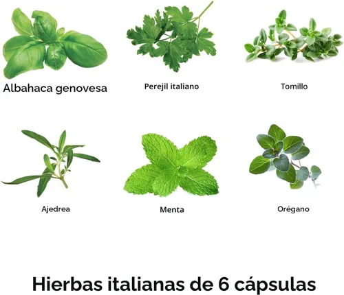 Vista 2 de AeroGarden Kit de Cápsulas de Semillas de Hierbas Italianas Surtidas, 6 Cápsulas