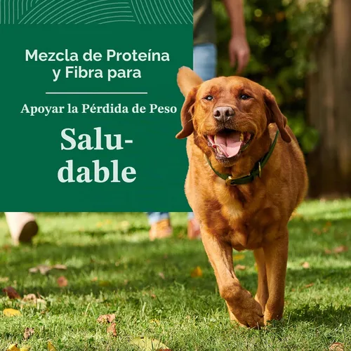 Vista 3 de Nutro Natural Choice - Alimento seco para perros de peso saludable, pollo y arroz, 30 libras