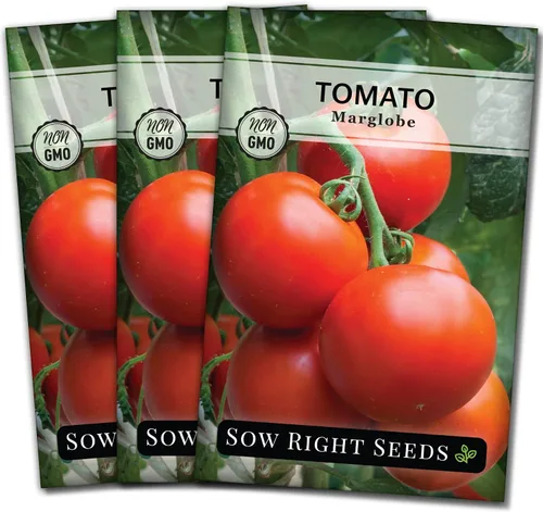 Vista 8 de Sow Right Seeds - Semillas de tomate Marglobe para plantar - Paquete de reliquia sin OMG con instrucciones para plantar y cultivar un huerto casero