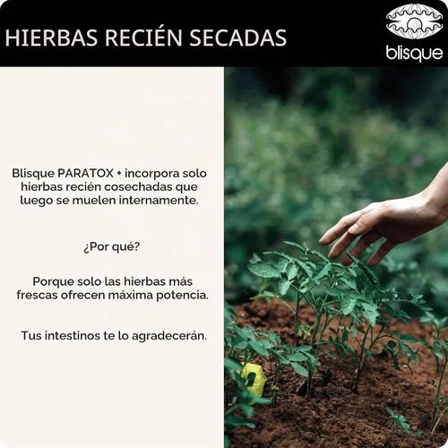 Vista 8 de Blisque Extrem Natural para Suplemento de limpieza dirigido con cáscaras de nogal negro 2 onzas 59 porciones