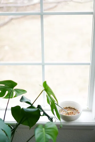 Vista 8 de Nana Joes Granola Serie Paleo Arándano, mantequilla de almendras y nuez Hecho a mano sin gluten, vegano, saludable, orgánico, a base de plantas